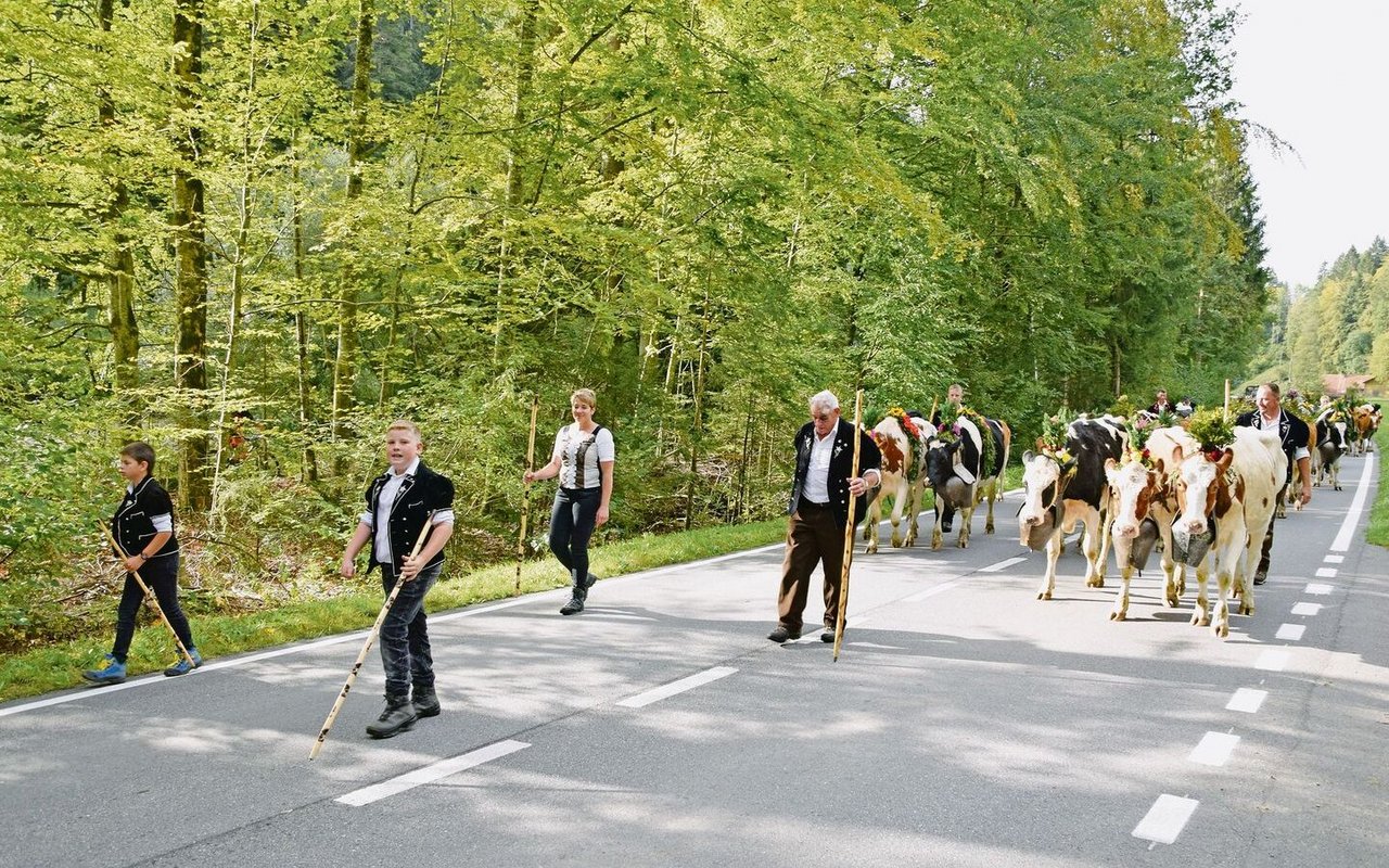 Die Hirtenfamilie Ueli und Brigitte Staudenmann von der Warmen Seite marschiert mit den fast 200 Rindern bis nach Kirchdorf. Ein Treichelgeläut, das unter die Haut geht. 