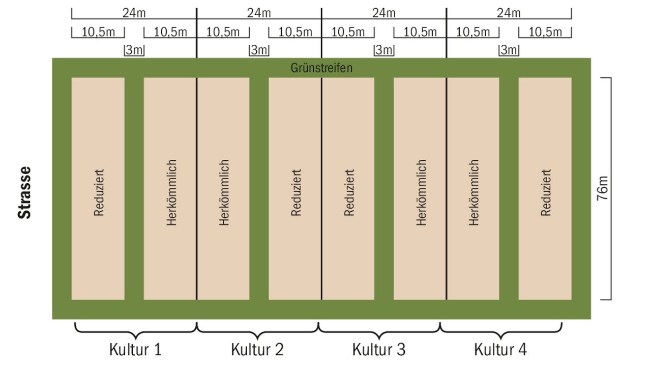 Plan der Versuchsparzellen auf dem Anbausystem-Demoversuch am Inforama Ins. (Grafik mi)