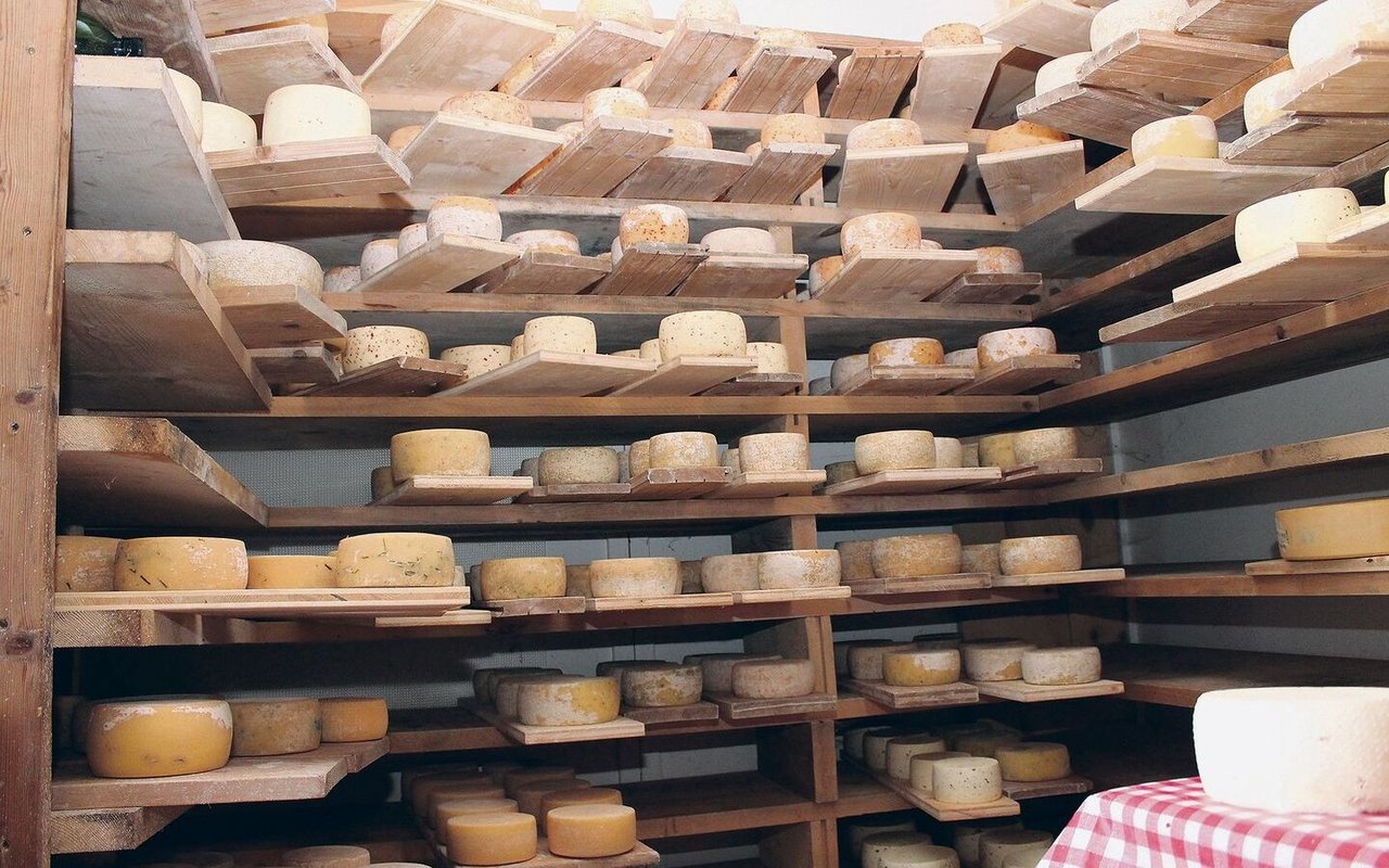 Die fertigen Mutschli lagern im Käsekeller, bis sie einen Käufer finden. Rund die Hälfte davon wird auf der Alp vermarktet.