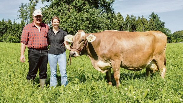 Jason Kenia von Christian und Jasmin Albrecht ist mittlerweile 23 Jahre alt (im Bild 13 Jahre). Sie ist die älteste Kuh der Schweiz mit einer Lebensleistung von 175 '000 kg Milch. (Bild Braunvieh Schweiz)