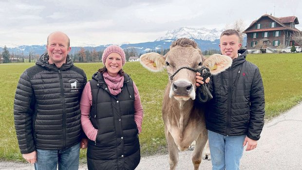 Thomas und Luzia Bucher setzen auf OB und BS. Manuel Bucher präsentiert OB-Kuh Livana. Die junge Altmelk wird auch an der Lucerne-Expo zu bestaunen sein. 