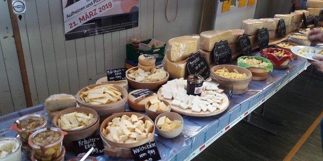 Weltgrösstes Käsebuffet zum «Welttag der Hauswirtschaft» (Bild Sandra Steffen-Odermatt)