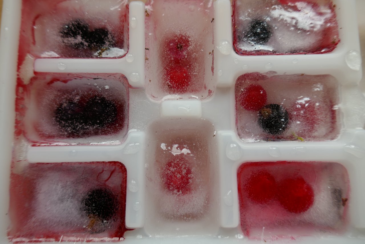 Besondere Erfrischung: In die Eiswürfel können Beeren eingefroren werden. (Bilder Neidhart)