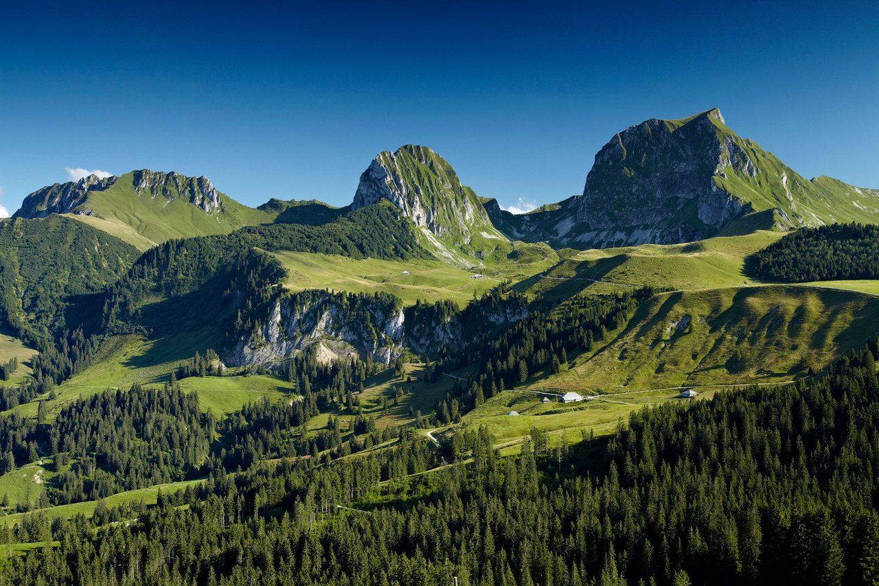 In der Bergwelt der Region Gantrisch kann auch weiterhin vom Angebot des Fördervereins Natrupark Gantrisch profitiert werden. (Bild Naturpark Gantrisch)