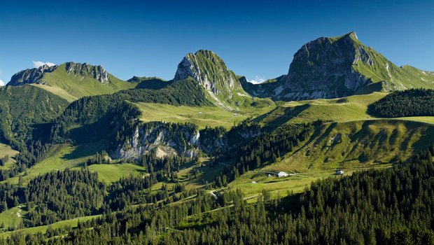 In der Bergwelt der Region Gantrisch kann auch weiterhin vom Angebot des Fördervereins Natrupark Gantrisch profitiert werden. (Bild Naturpark Gantrisch)