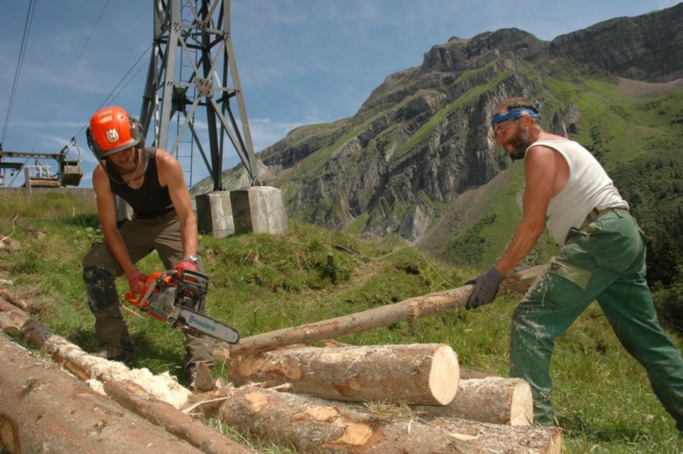 Viele leisten ihren Zivildienst auch in der Land- und Forstwirtschaft. (Bild Josef Scherer)