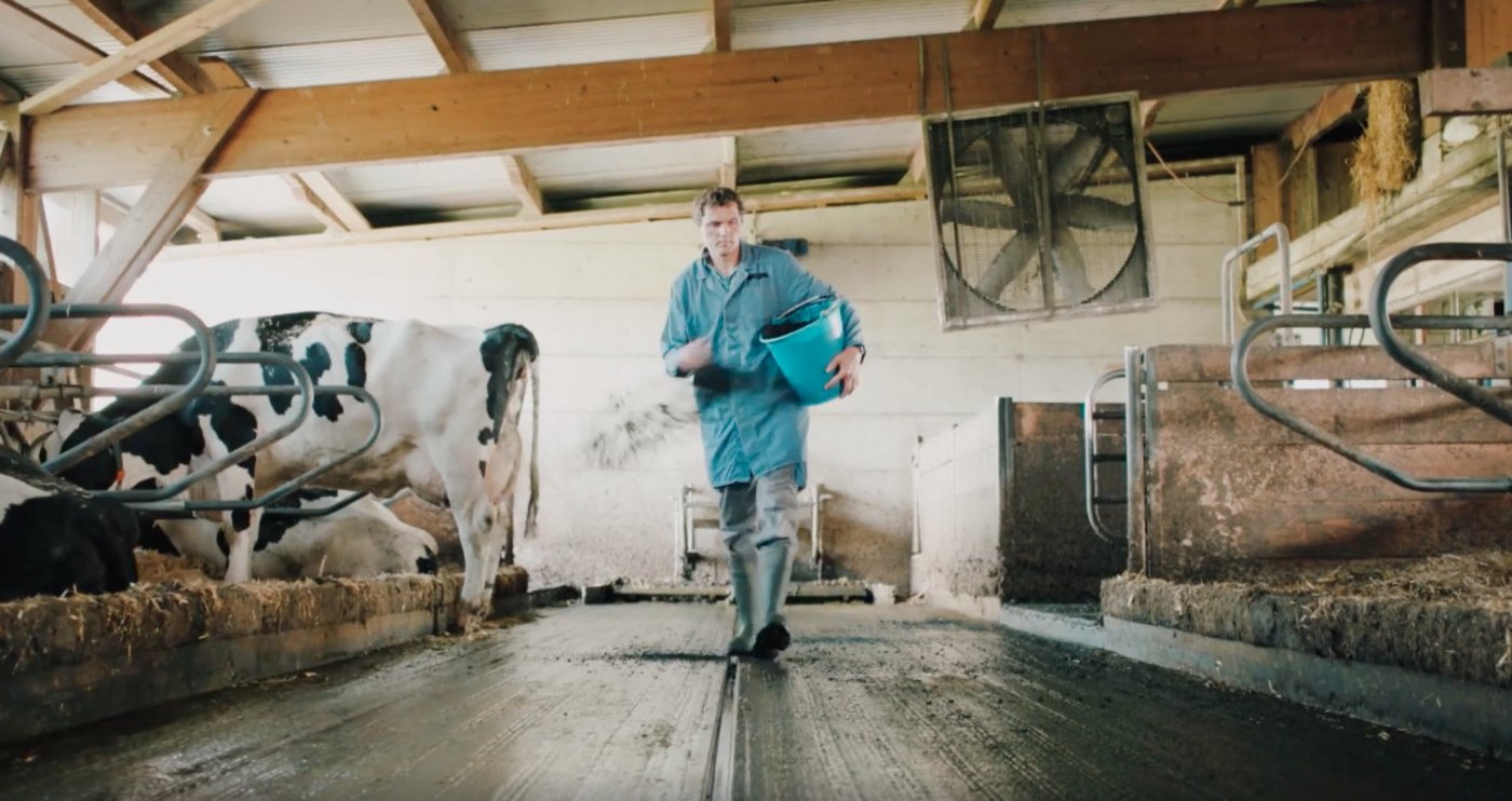 Auch als Einstreu wird die Kohle eingesetzt. Sie nimmt unangenehme Gerüche auf und reichert gleichzeitig die Gülle mit zusätzlichen Nährstoffen an. (Bild Verora AG)