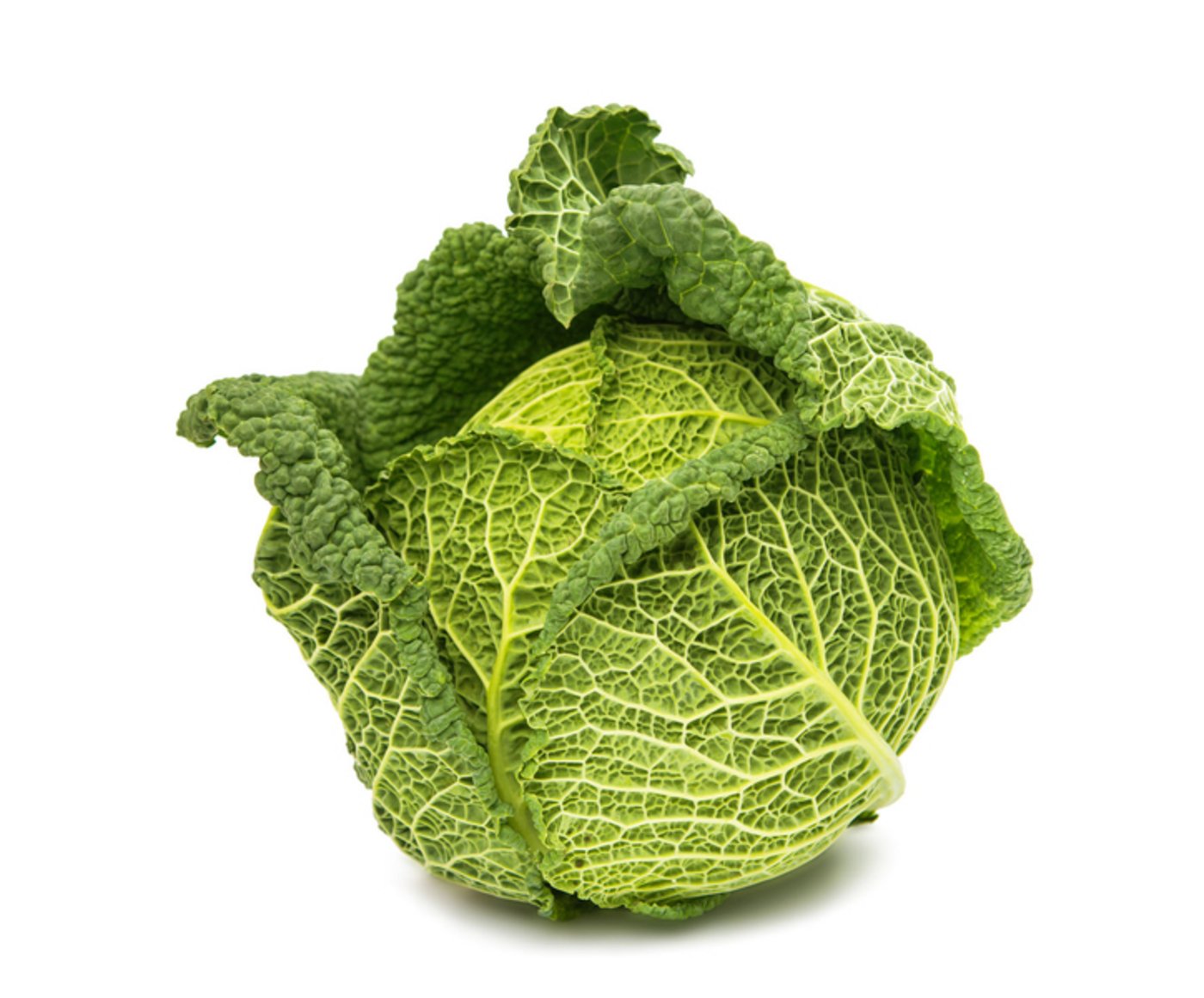 Wirz ist in der kalten Jahreszeit besonders beliebt. (Bild VSGP)