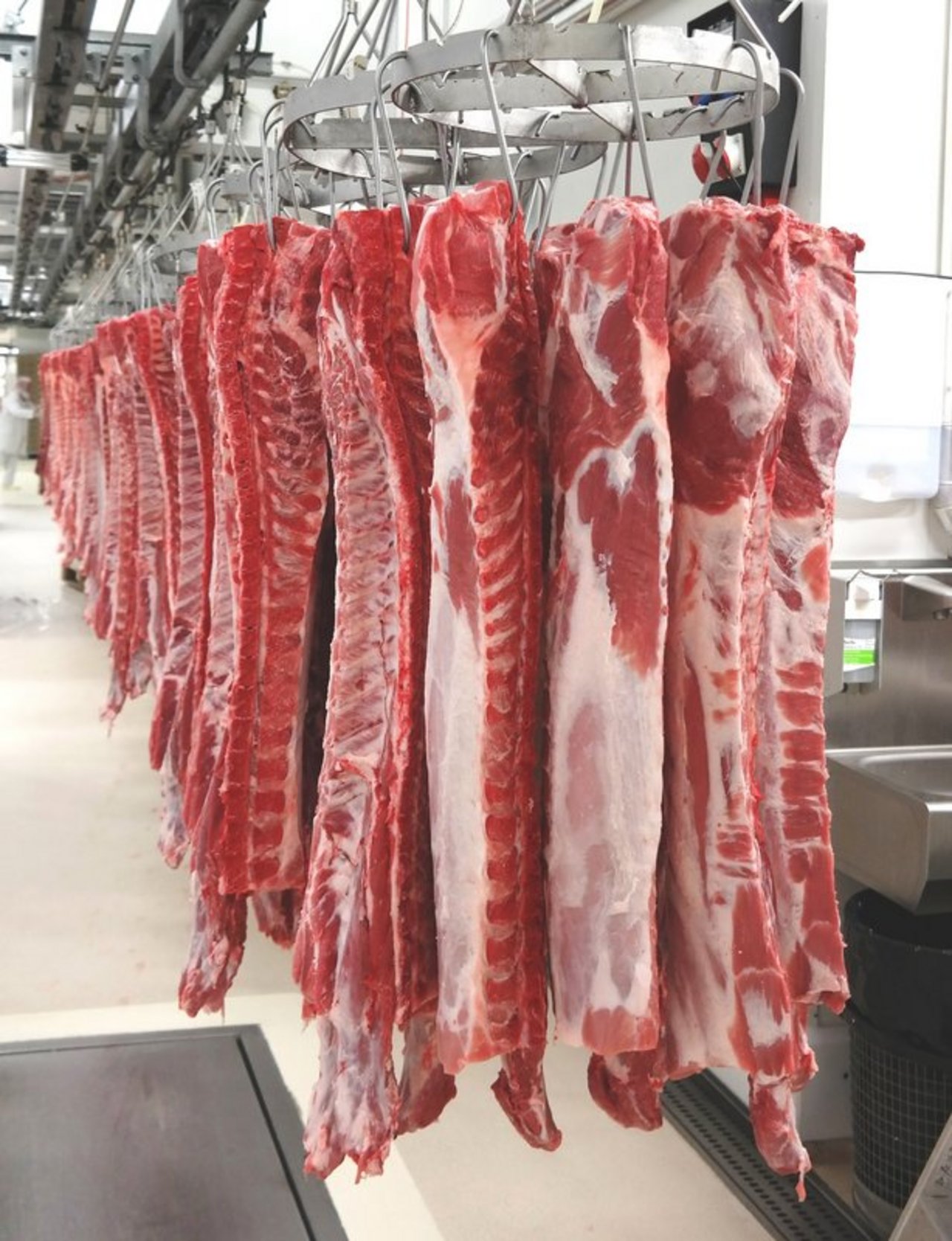 Laut des kanadischen Fleischverbands CMC sei neben Schweinefleisch auch Rindfleisch von dem Bann betroffen. (Bild Josef Kottmann)