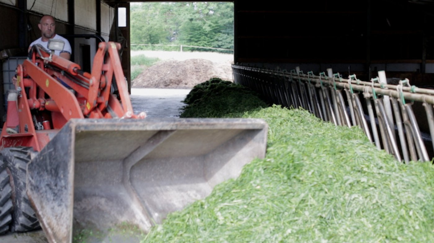 Stefan Burkhalter ist auf dem Betrieb gut eingerichtet und arbeitet gerne zackig. 