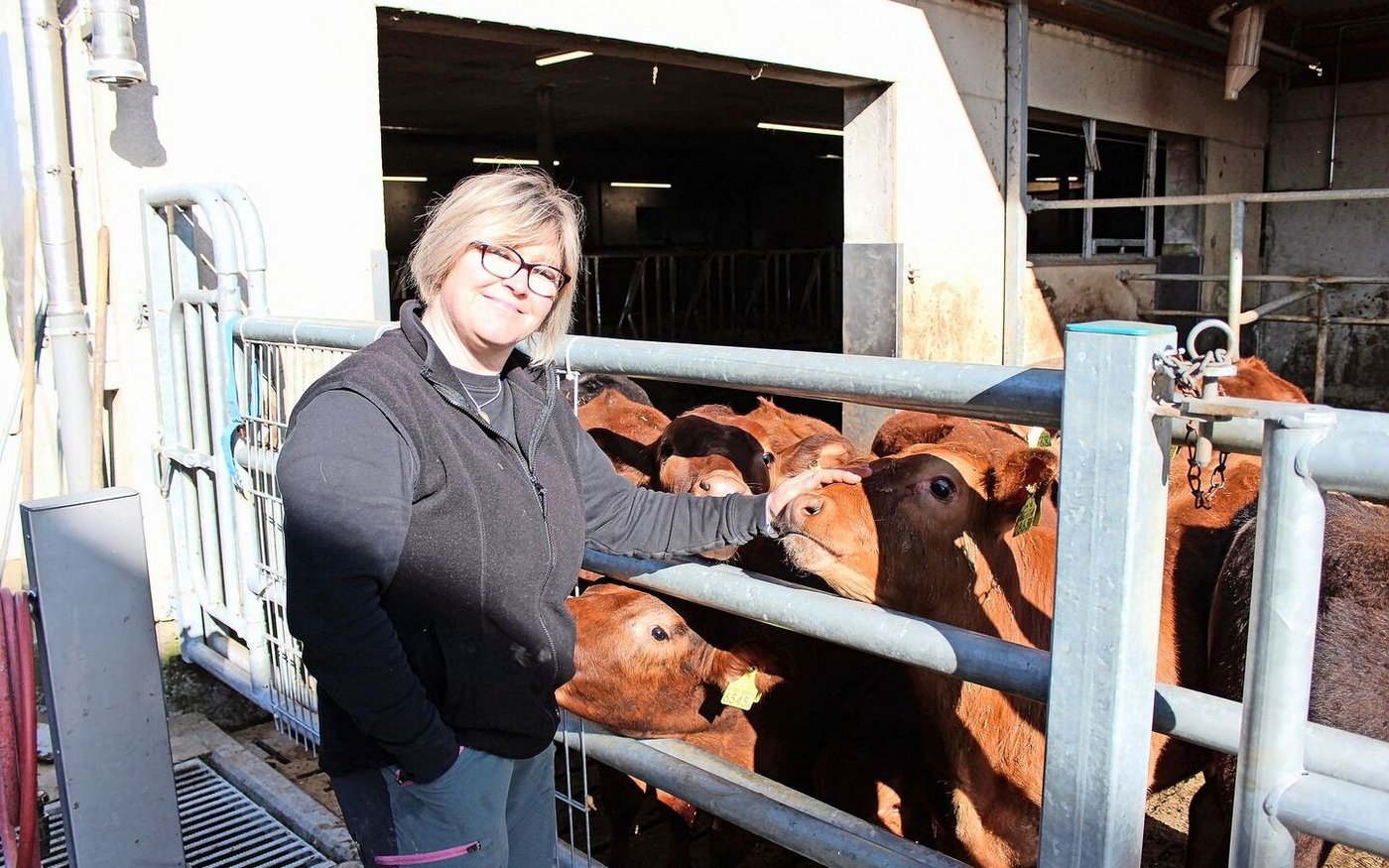 Conny Schmid liebt es, für die Mutterkühe und die Kälber zu sorgen.