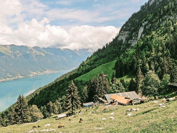 Auf den Alpen fehlt es an Wasser, während das Schmelzwasser die Seen füllt. Der ausbleibende Regen bringt die Alpwirtschaft unter Druck und zwingt zum Handeln. 