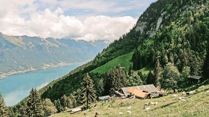Auf den Alpen fehlt Auf den Alpen fehlt es an Wasser, während das Schmelzwasser die Seen füllt. Der ausbleibende Regen bringt die Alpwirtschaft unter Druck und zwingt zum Handeln.