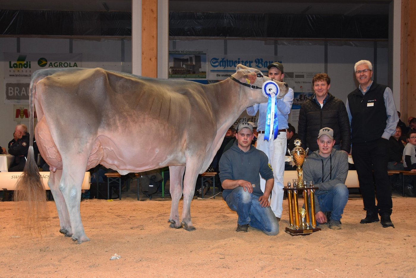 Grand Champion BS, Jongleur Janina von Koni Pfulg/Pascal und Franz Felder. (Bilder Raphael Bissig)