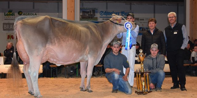 Grand Champion BS, Jongleur Janina von Koni Pfulg/Pascal und Franz Felder. (Bilder Raphael Bissig)