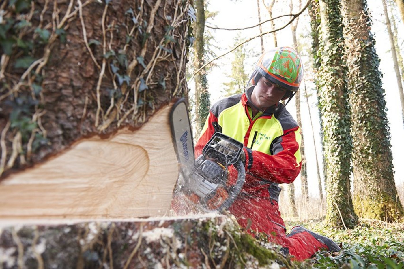 Harte Arbeit, mässiger Lohn: Rund die Hälfte der frisch ausgebildeten Forstwarte wechselt den Beruf. (Bild Andrea Campiche/Codoc)