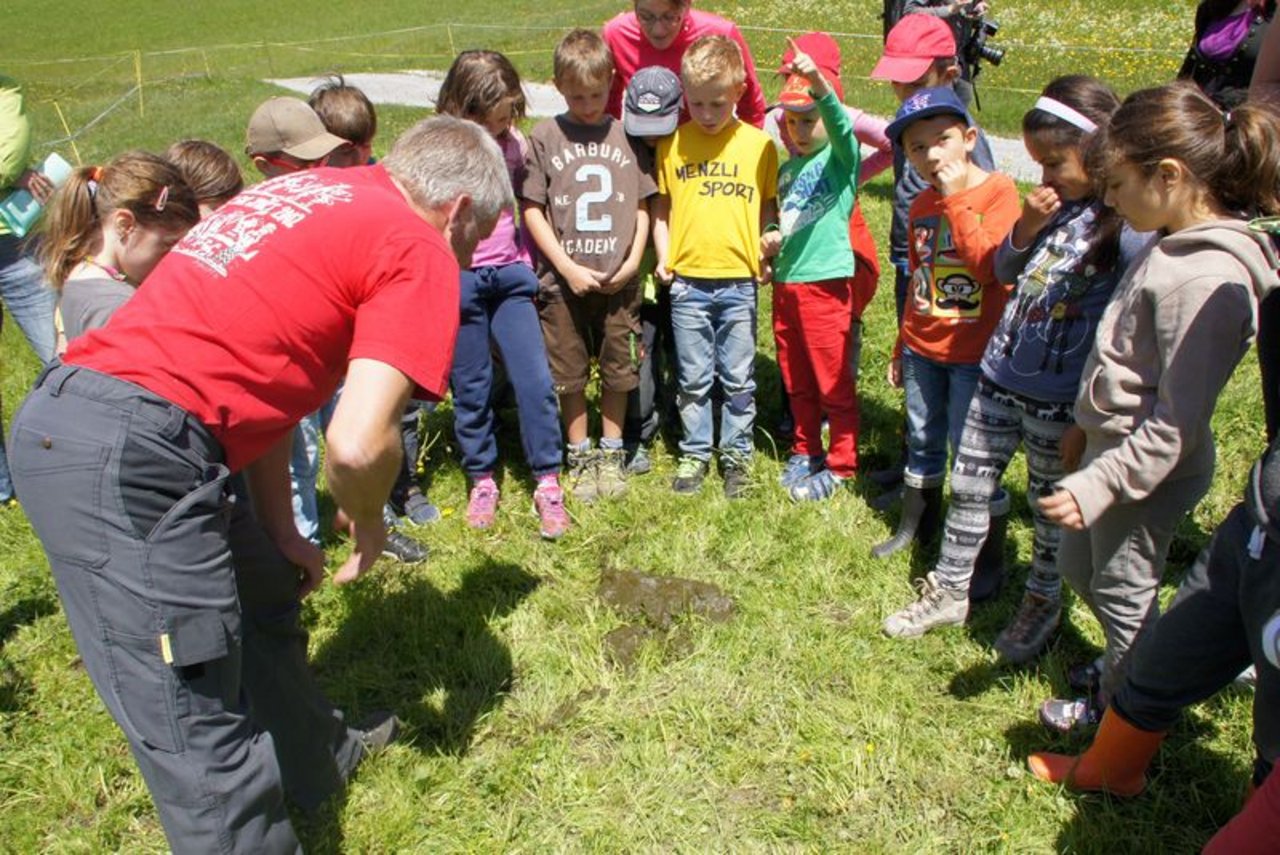 Rund 52'000 Kinder konnten 2019 dank SchuB die Schweizer Landwirtschaft hautnah kennenlernen - wie hier zum Beispiel in der Lenzerheide. (Bild lid)