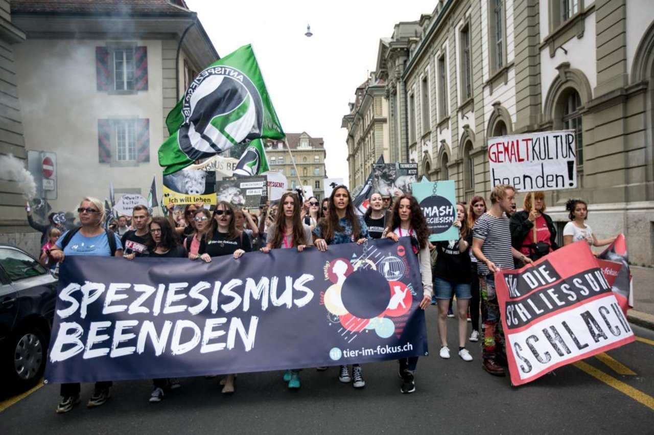 Rund 500 Demonstrierende sind am Samstag durch Bern gezogen. (Bild Klaus Petrus / TIF)