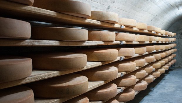 Was im Detailhandel in der Corona-Krise an Käse zusätzlich verkauft werden konnte, stammte laut Big-M aus dem Ausland. Schweizer Produzenten profitierten einmal mehr nicht. (Bild 5056468/Pixabay)