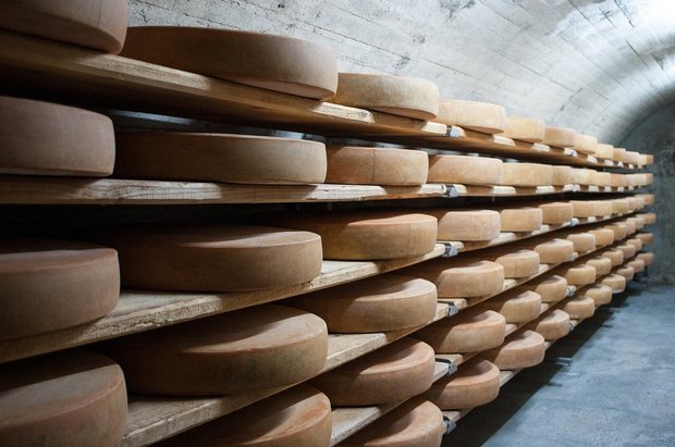 Was im Detailhandel in der Corona-Krise an Käse zusätzlich verkauft werden konnte, stammte laut Big-M aus dem Ausland. Schweizer Produzenten profitierten einmal mehr nicht. (Bild 5056468/Pixabay)