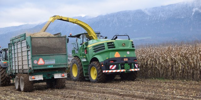 Wenn die Maisrückstände nach dem Ernten mechanisch zerstört werden, kann der Maiszünsler nicht überwintern. (Bilder bs)