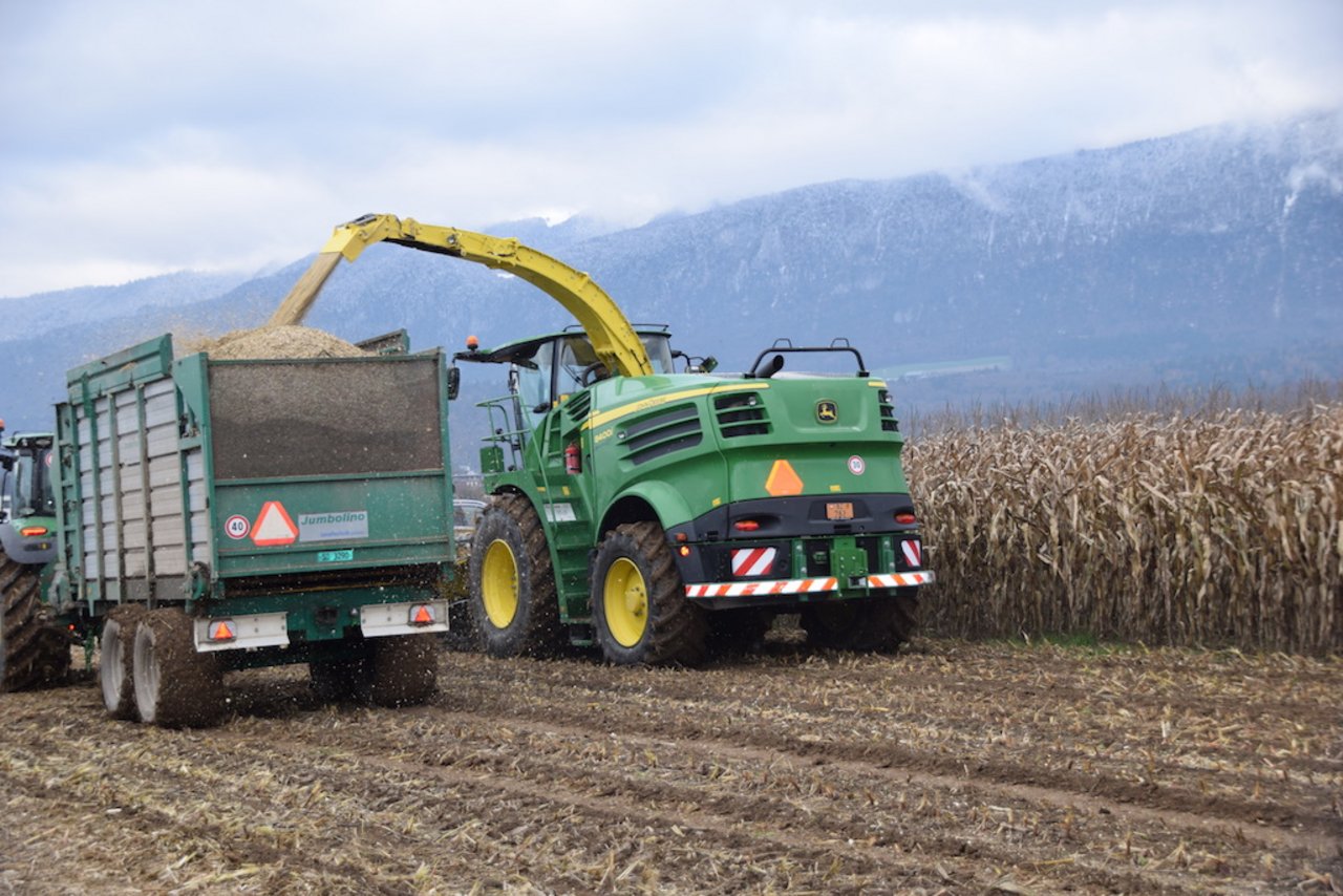 Wenn die Maisrückstände nach dem Ernten mechanisch zerstört werden, kann der Maiszünsler nicht überwintern. (Bilder bs)