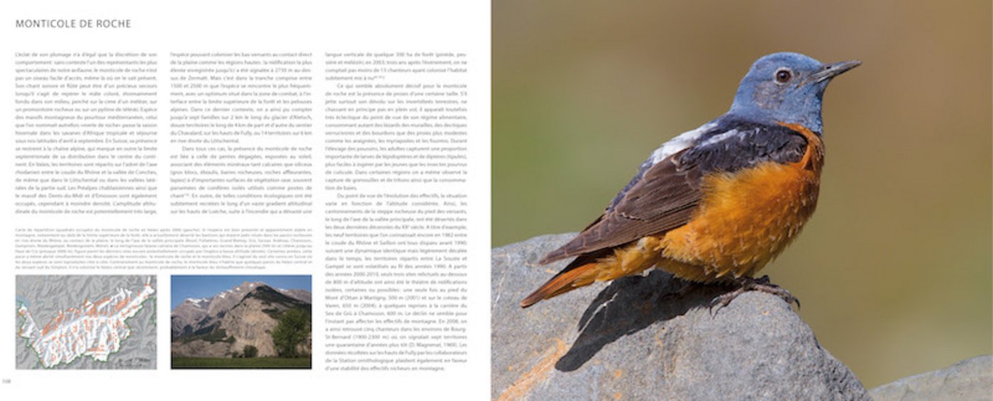 Das Buch ist reich  bebildert. (Bild Vogelwarte Sempach)