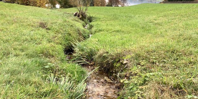 Kleingewässer von weniger als 1,5 m Breite m Kanton Schwyz. Für solche sind gemäss Merkblatt der Regierung keine Gewässerräume auszuscheiden.  (Bild js)