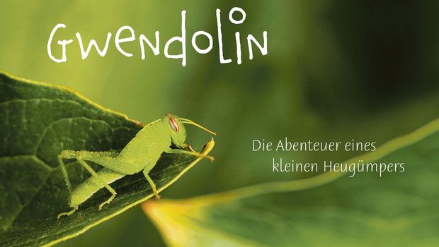 Das Bilderbuch «Gwendolin» aus dem Schweizer Wörterseh-Verlag stellt die Welt der Garten-Insekten vor.