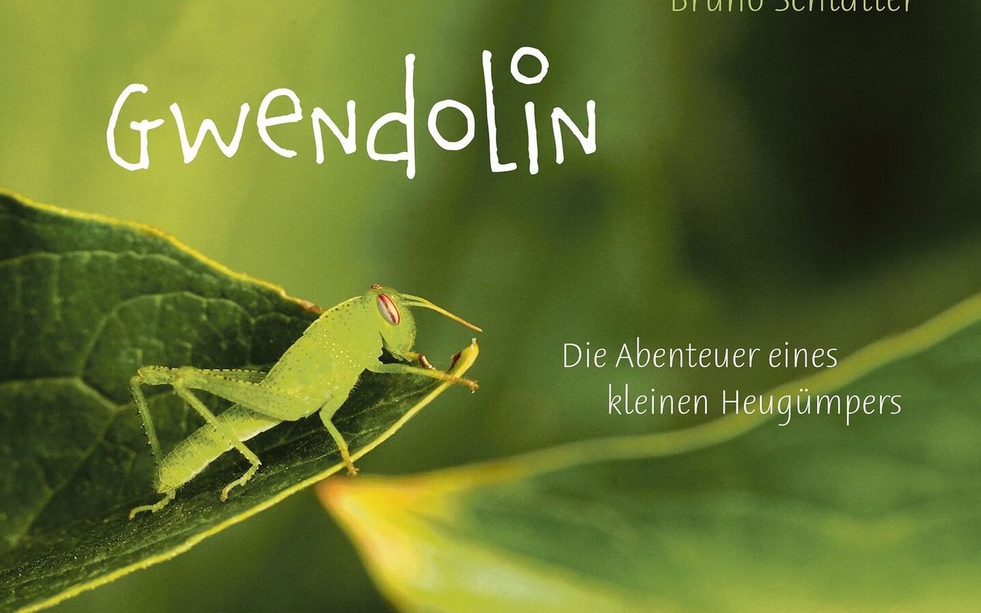 Das Bilderbuch «Gwendolin» aus dem Schweizer Wörterseh-Verlag stellt die Welt der Garten-Insekten vor.