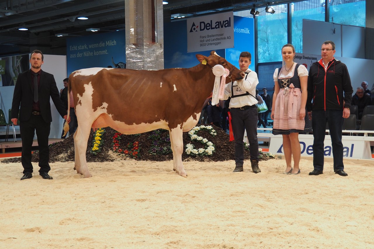 Tamara heisst die Champion bei den Red Holstein-Kühen. Sie steht im Stall von Martin und Ruth Müller Opprecht aus Kümmertshausen.