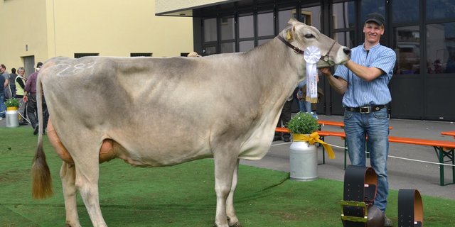 Blooming Birke von Markus Waser-von Ah als Tagessiegerin BS und Schöneutersiegerin ältere Kühe. (Bilder Paul Küchler)