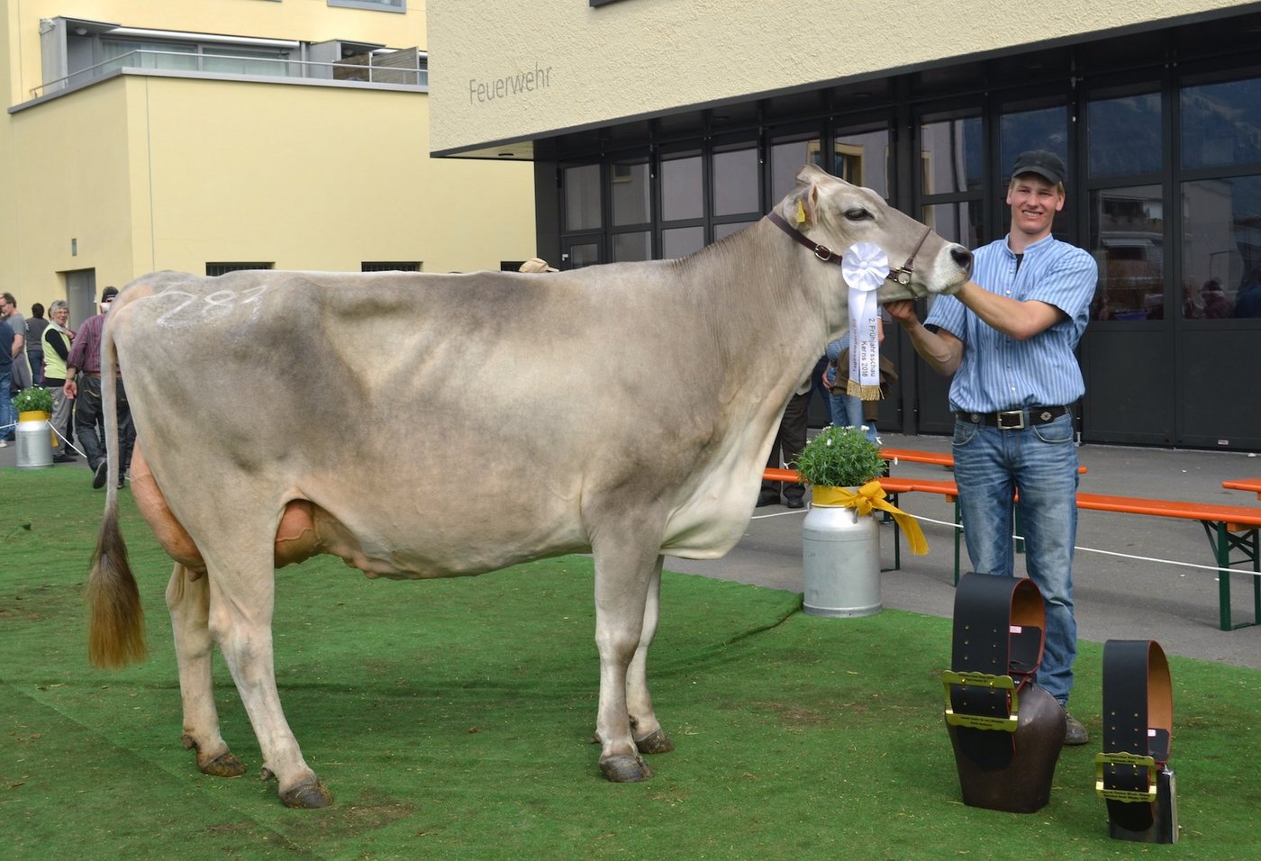 Blooming Birke von Markus Waser-von Ah als Tagessiegerin BS und Schöneutersiegerin ältere Kühe. (Bilder Paul Küchler)