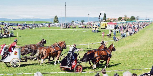 Wenn die Teilnehmenden des Brückenwagen- und Römerwagenrennens an den Start gehen, ist ihnen die Aufmerksamkeit des Publikums gewiss.