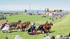 Wenn die Teilnehmend Wenn die Teilnehmenden des Brückenwagen- und Römerwagenrennens an den Start gehen, ist ihnen die Aufmerksamkeit des Publikums gewiss.