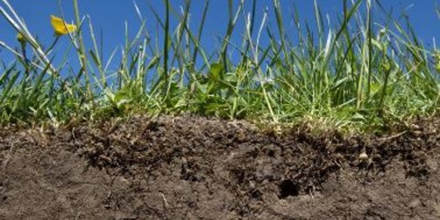 Der Rechner enthält neben einer Gebrauchsanleitung auch Informationen, wie die Humusbilanz-Ergebnisse interpretiert und negative Humusbilanzen wieder ins Gleichgewicht gebracht werden können. (Bild Agroscope)