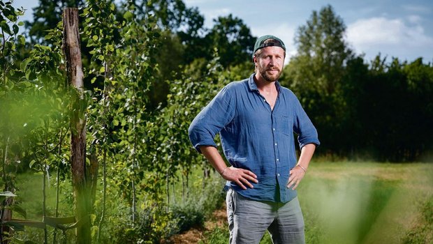 Der deutsche Landwirt des Jahres Benedikt Bösel auf einer seiner Agroforst-Flächen. Hier setzt er vor allem auf Frucht- und Nussbäume. Insgesamt hat er 60 ha mit Bäumen und Büschen bepflanzt. 