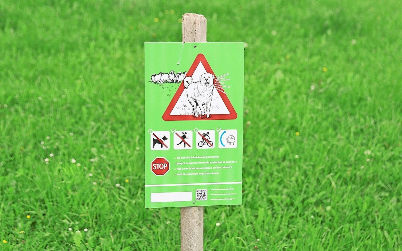 20-mal jährlich kommt es in der Schweiz vor, dass Herdenschutzhunde Menschen beissen. Muss das offizielle Warnschild präziser werden?