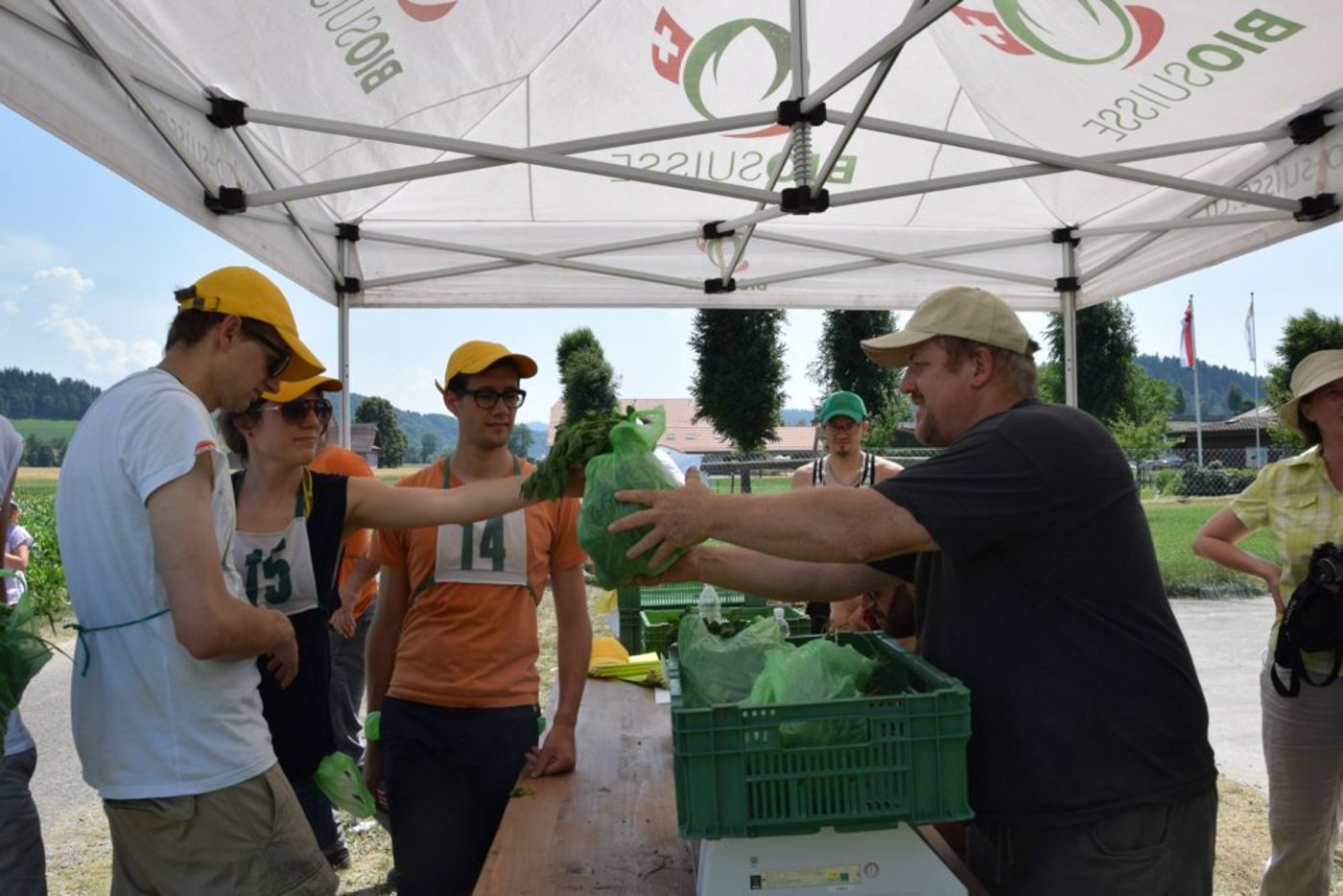 … Gewicht des gesammelten Unkrauts wird bewertet. Wie man sieht, kam davon ...
