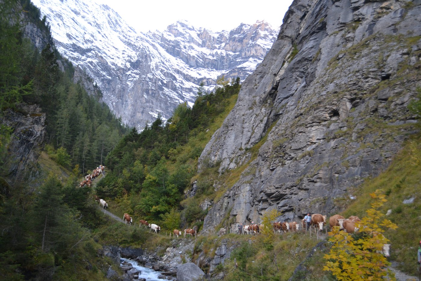 Es geht talwärts, Richtung Stechelberg BE.