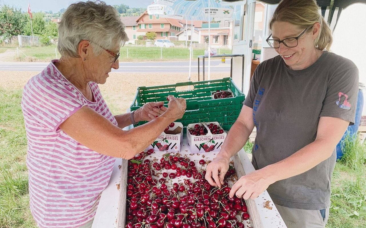 Marlis (l.) und Jolanda Trösch rüsten und verkaufen knackige Kirschen im Verkaufsstand beim Kreisel in Gelfingen LU. 