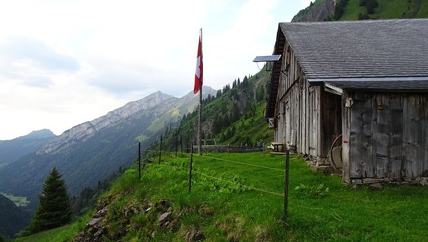 Auf der Alp Fläschen kamen die Schafe ums Leben. (Bild Hikr)