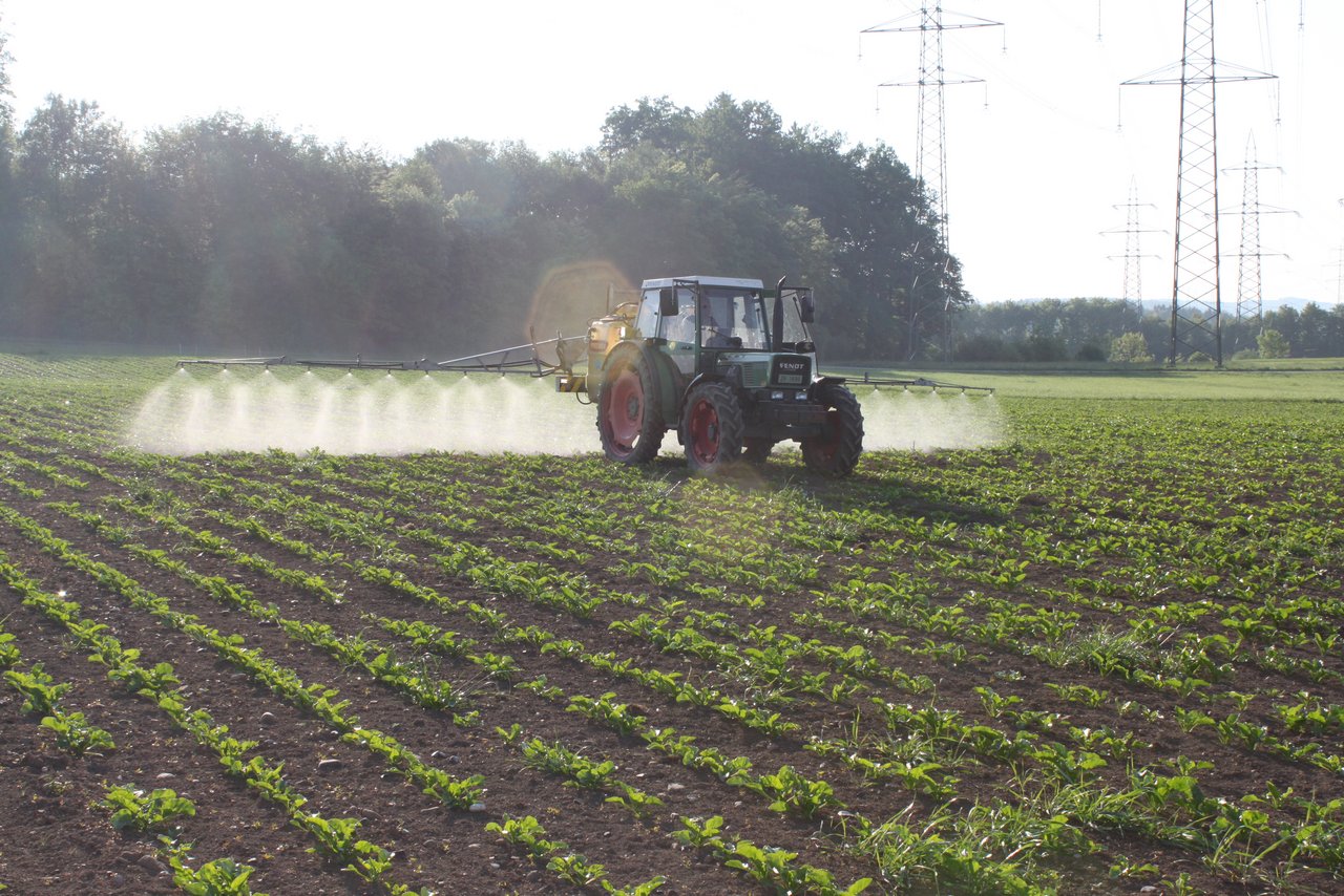 Trinkwasser- und Pestizid-Initiative: Diese Themen zogen sich wie ein roter Faden durch die Online-Information des St. Galler Bauernverbands. (Bild: Fachstelle Pflanzenschutz, Strickhof)gver