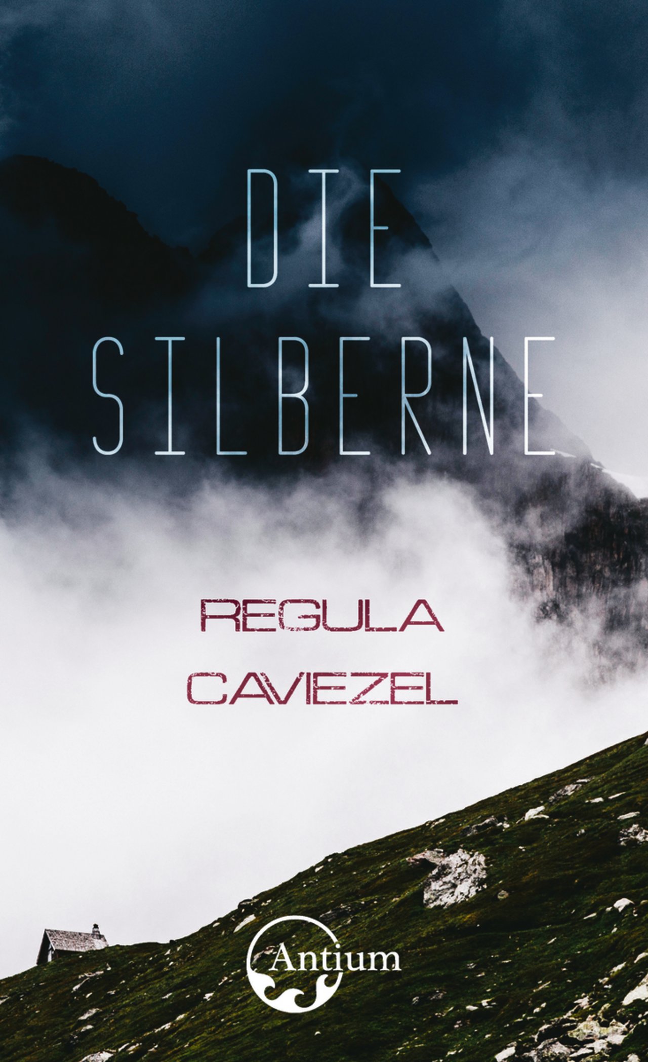 Im Roman «Die Silberne» erzählt Regula Caviezel die Geschichte einer Frau, die sich in die Berge zurückgezogen hat.(Bild zVg)