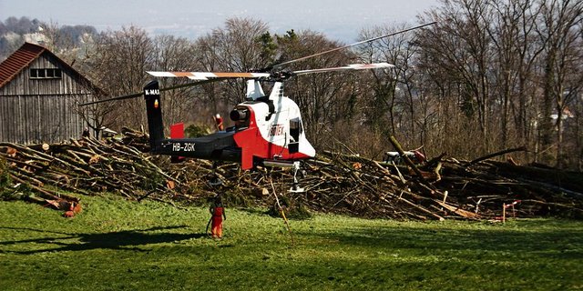 Zwischenlandung des Helikopters mit dem Übernamen «fliegenden Kran» bei Wienacht-Tobel. Er vermag mehr Gewicht zu Tragen als er Eigengewicht hat. Bäume fliegen im Appenzellerland durch die Luft. Im Hintergrund das sanktgallische Dorf Thal am Buechberg. (Bild: Hansruedi Wieser)