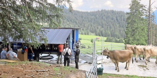 Bisher ist ein mobiler Melkstand auf den Alpen nicht häufig anzutreffen.