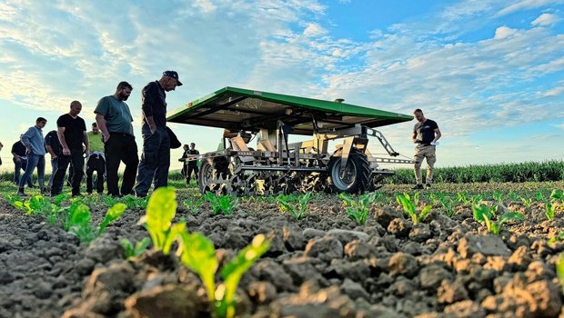 Der Farmdroid wird während seiner Arbeit von den Teilnehmern begutachtet. Via GPS weiss er, wo die Reihen sind und die Zuckerrübenpflanzen stehen.