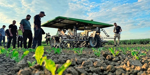 Der Farmdroid wird während seiner Arbeit von den Teilnehmern begutachtet. Via GPS weiss er, wo die Reihen sind und die Zuckerrübenpflanzen stehen.