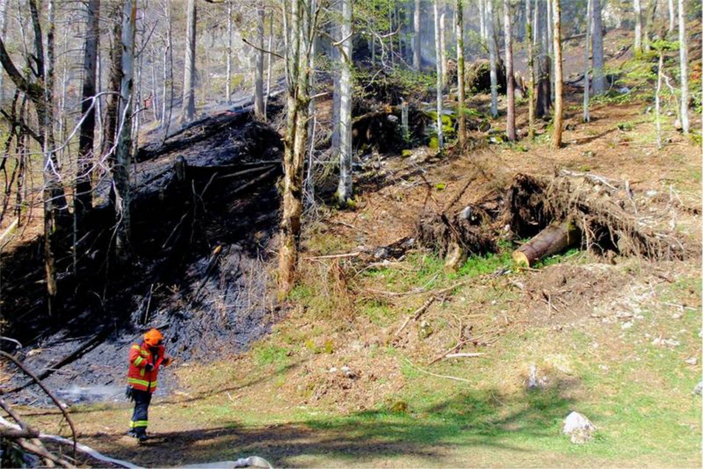 (Bild Kantonspolizei St.Gallen)