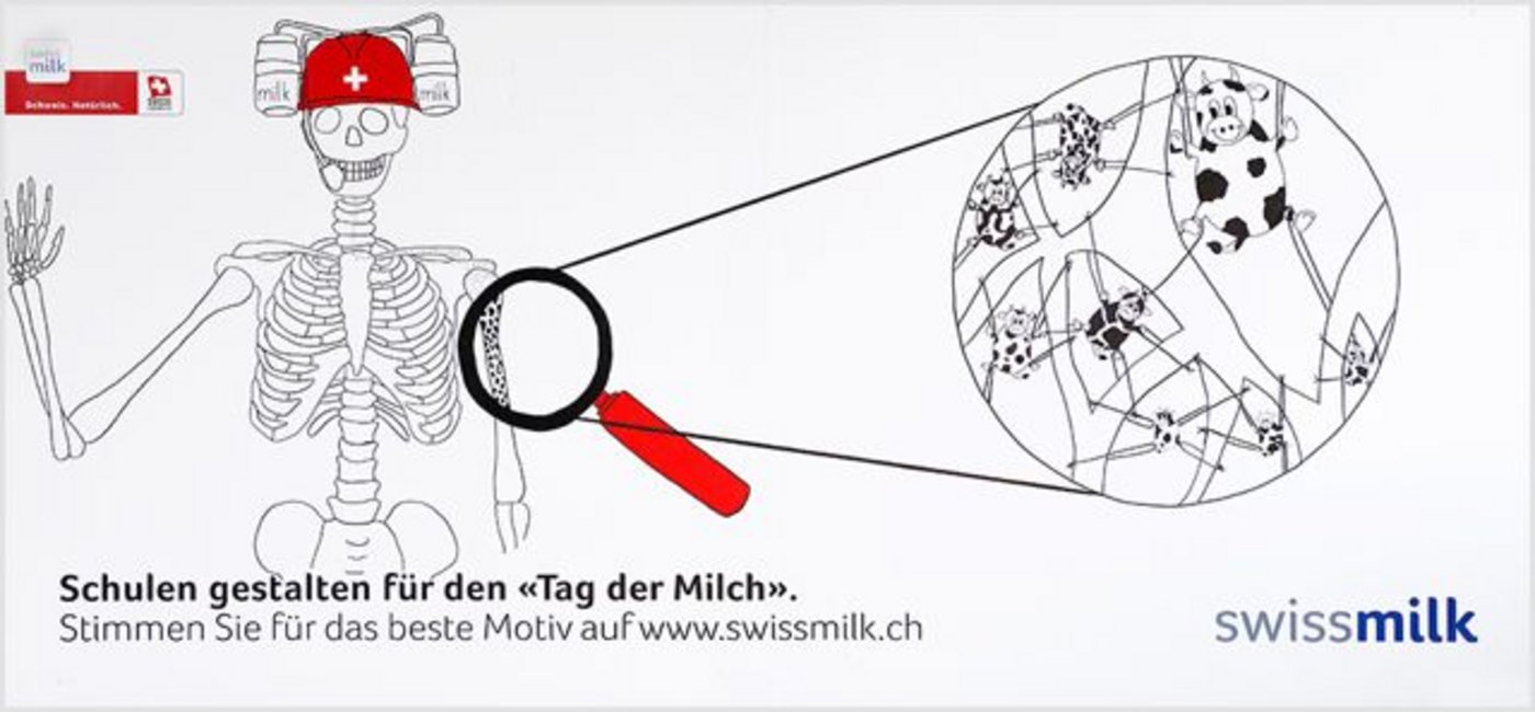 die Klasse 3c aus Wiedlisbach BE mit ihren Plakaten siegreich.